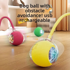 Rollraptor Interactive Pet Toy Ball