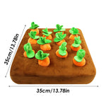 Sniff & Search Enrichment Set 2
