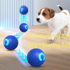 Rolling Ball Dog Toy - Sale🏷️💲