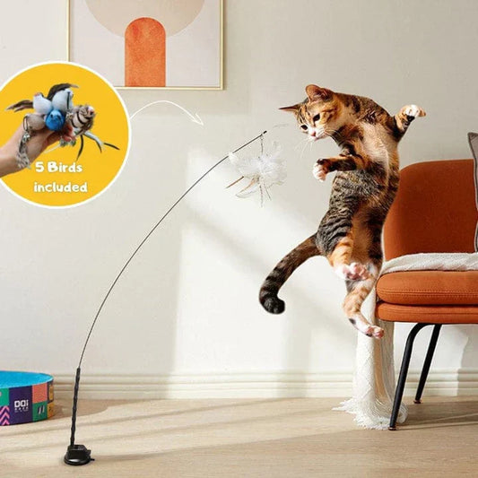 Interactive Cat Toy – FlatterFreund