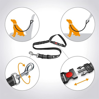 Dog Car Seat Belt
