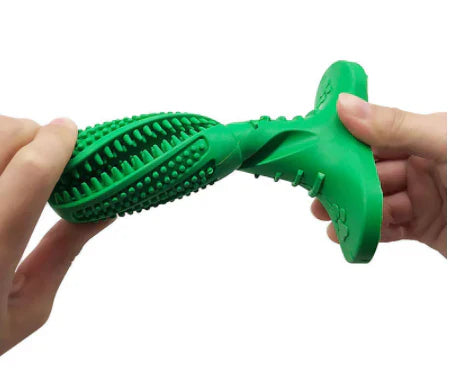 Playful Chewing Fun for Healthy Teeth