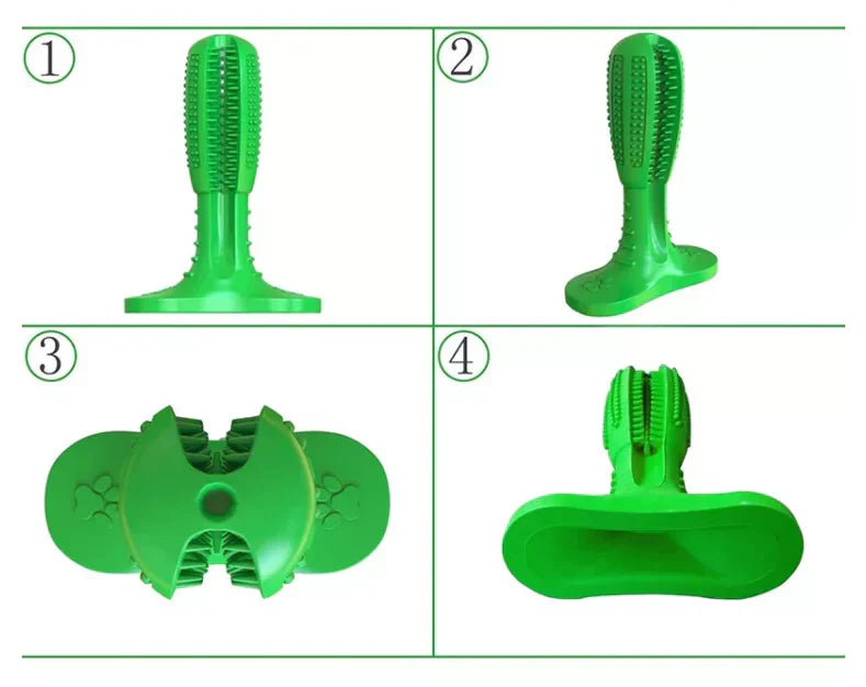 Playful Chewing Fun for Healthy Teeth