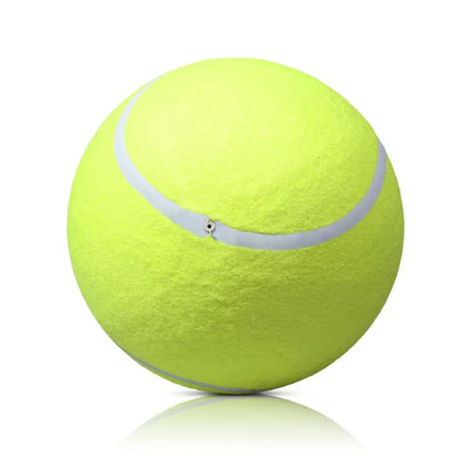 Giant Tennis Ball For Dogs
