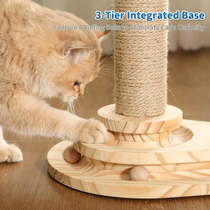 Cat Play and Scratch Lounge