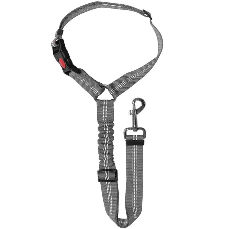 Dog Car Seat Belt