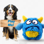 Squeaky Interactive Dog Toy Balls