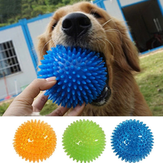 Chewing Toy Spike Balls Accessories