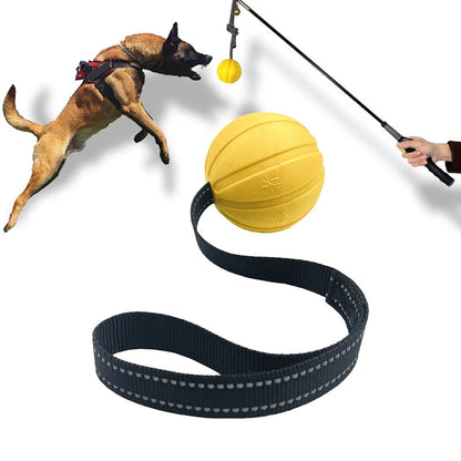 Dog Toy Balls on a Rope