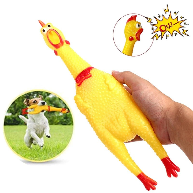 Squeak Chicken Dog Toy
