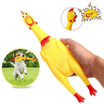 Squeak Chicken Dog Toy