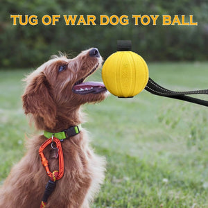 Dog Toy Balls on a Rope