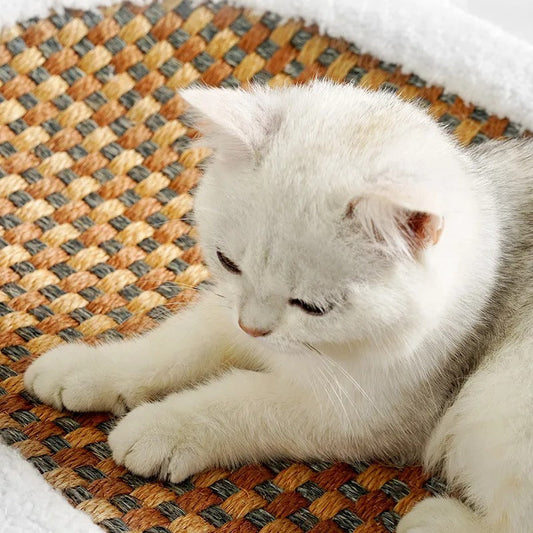 Luxury Scratch Cat Bed