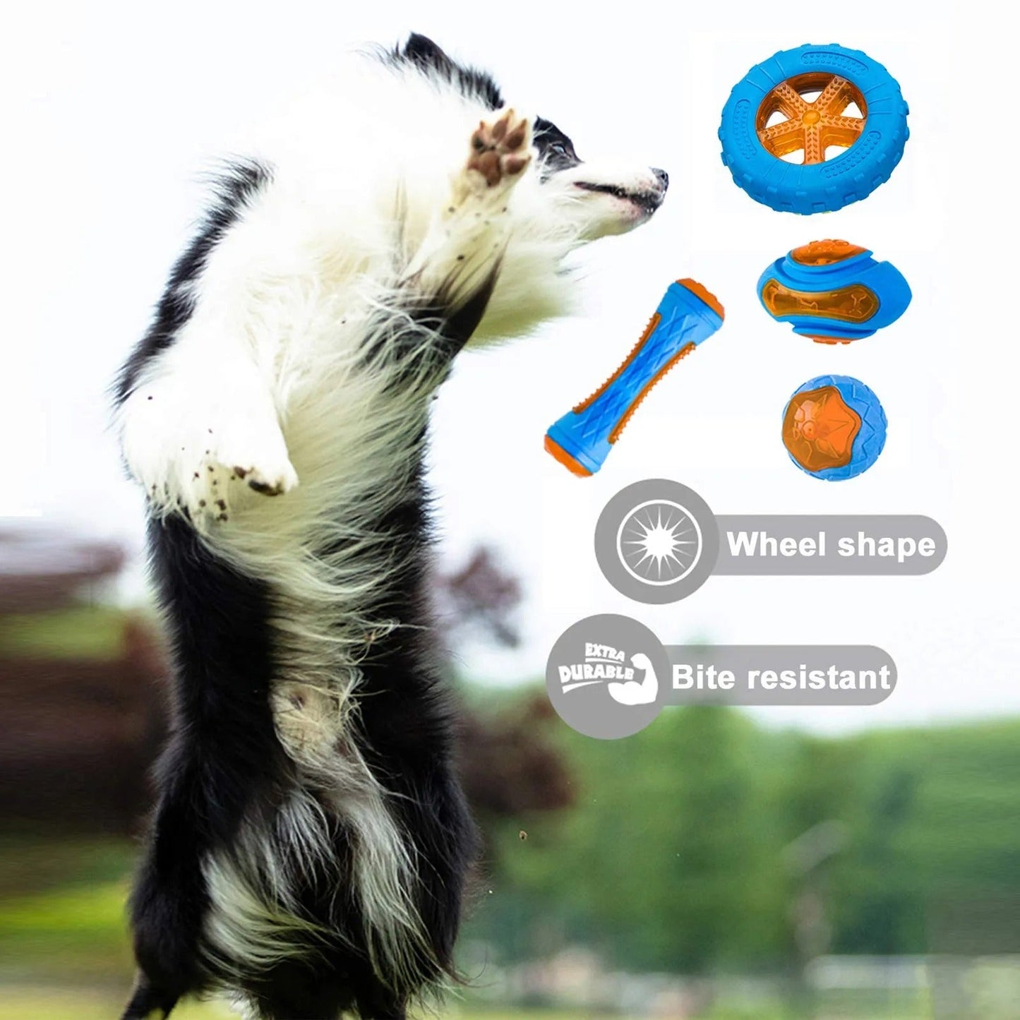 Rubber Dog Toys – Durable, Fun, and Safe for Your Dog