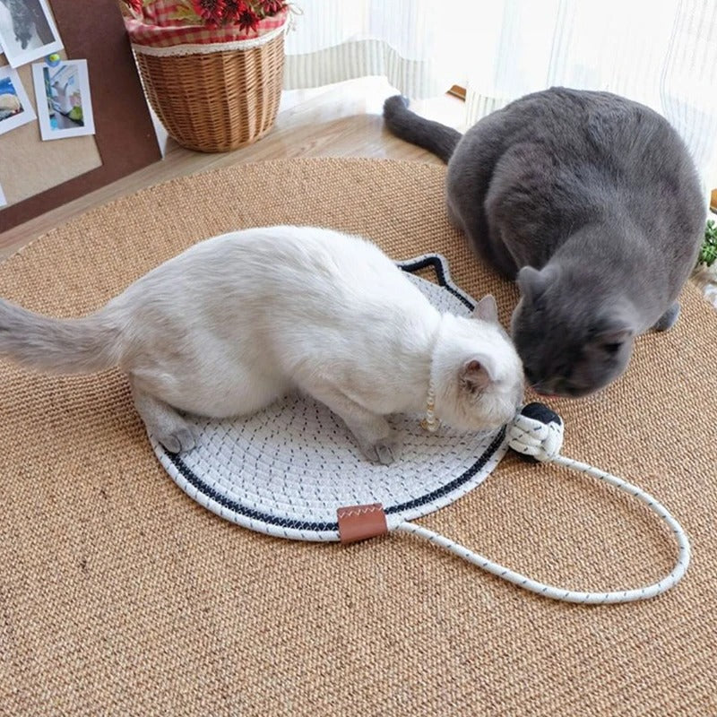 Cat Scratching Toy Carpet