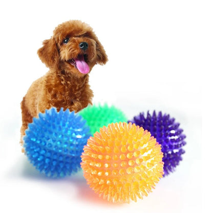 Chewing Toy Spike Balls Accessories