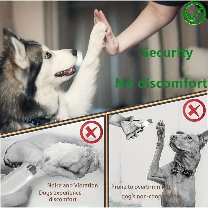 Paw Perfect Scratch & Groom