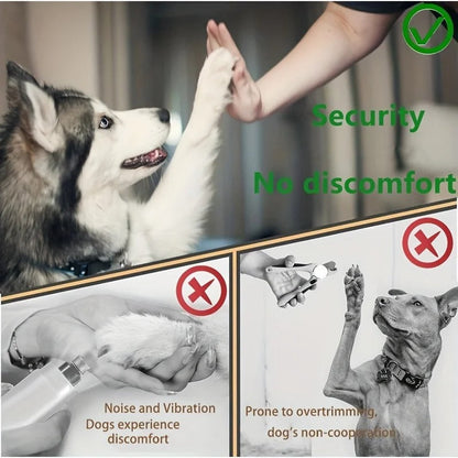 Paw Perfect Scratch & Groom