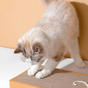 Cat Cardboard Mat Scraper