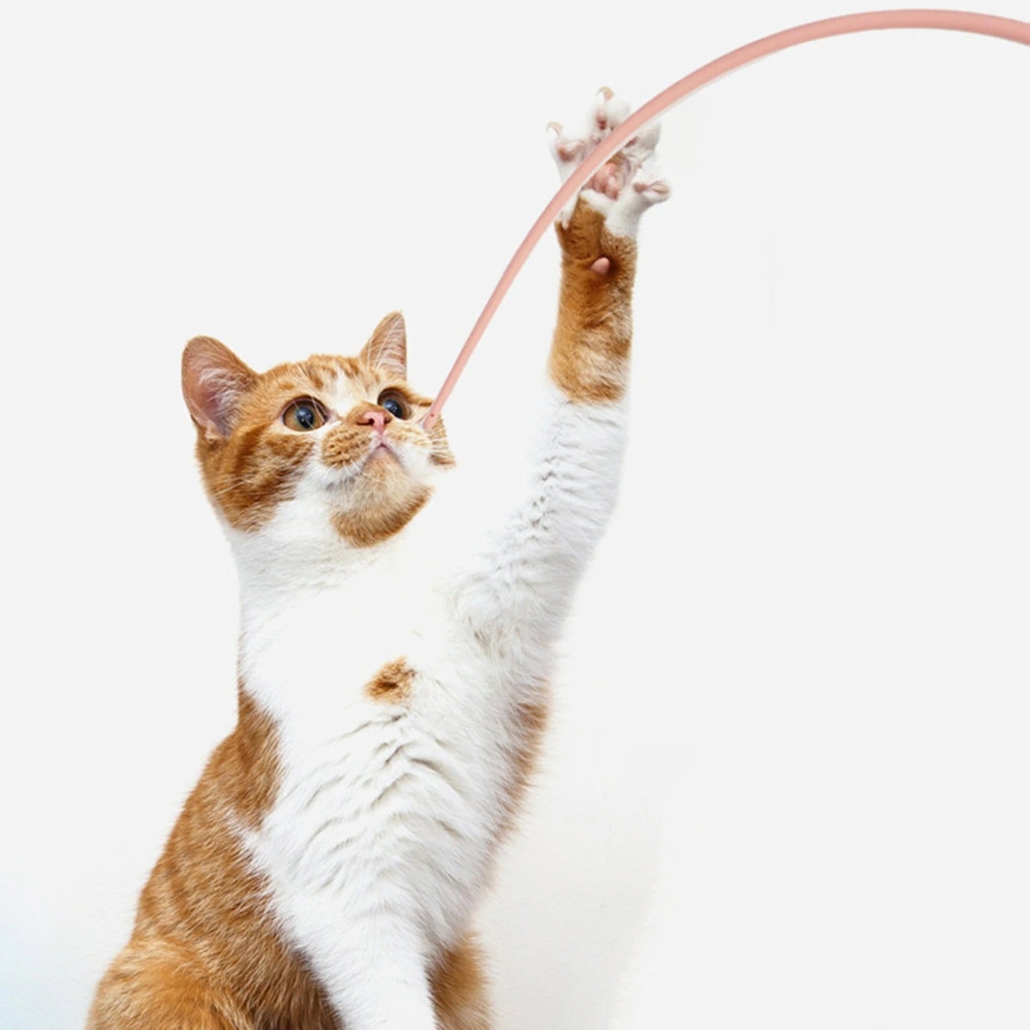 Cat Toy Wand Interactive