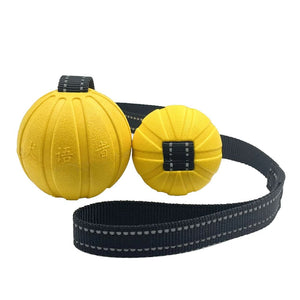 Dog Toy Balls on a Rope