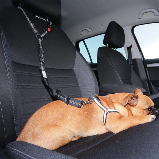 Dog Car Seat Belt