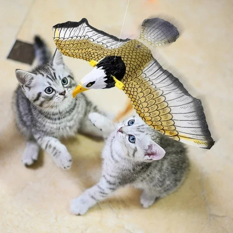 Eagle Flying Bird Cat Toy