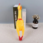 Squeak Chicken Dog Toy