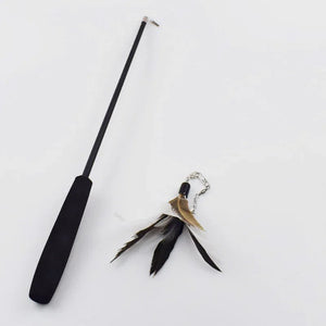 Interactive Cat Feather Toy