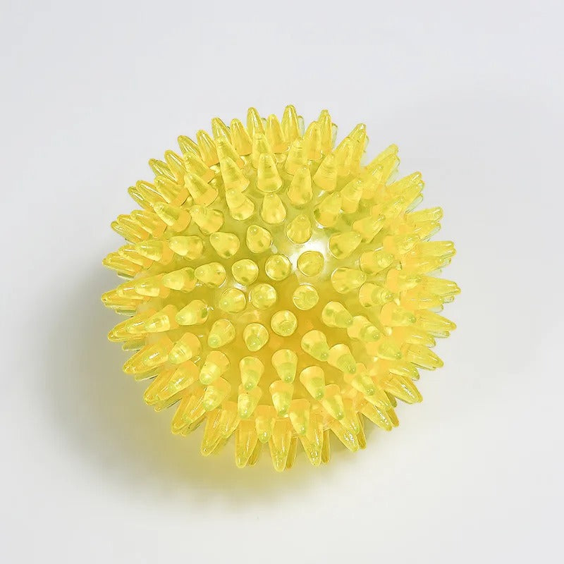Chewing Toy Spike Balls Accessories