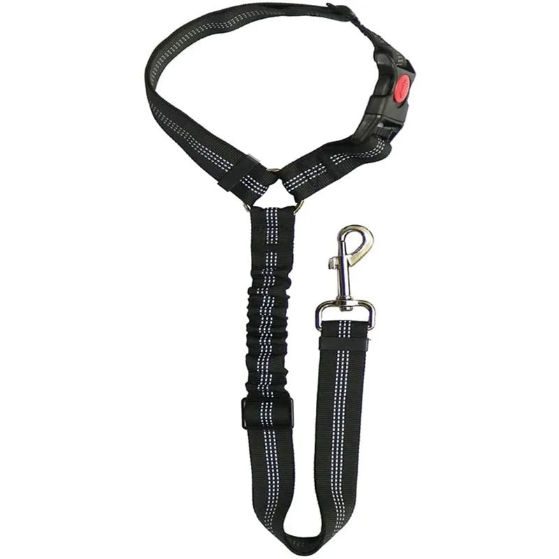 Dog Car Seat Belt