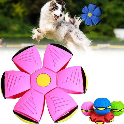 TurboFly – Ultimate Pet Flying Disc