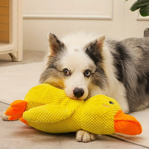 Anti-stress Duck