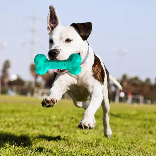 Interactive Durable Dog Chew Bone