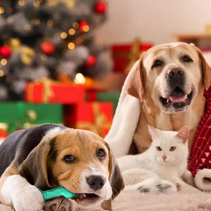 Interactive Durable Dog Chew Bone