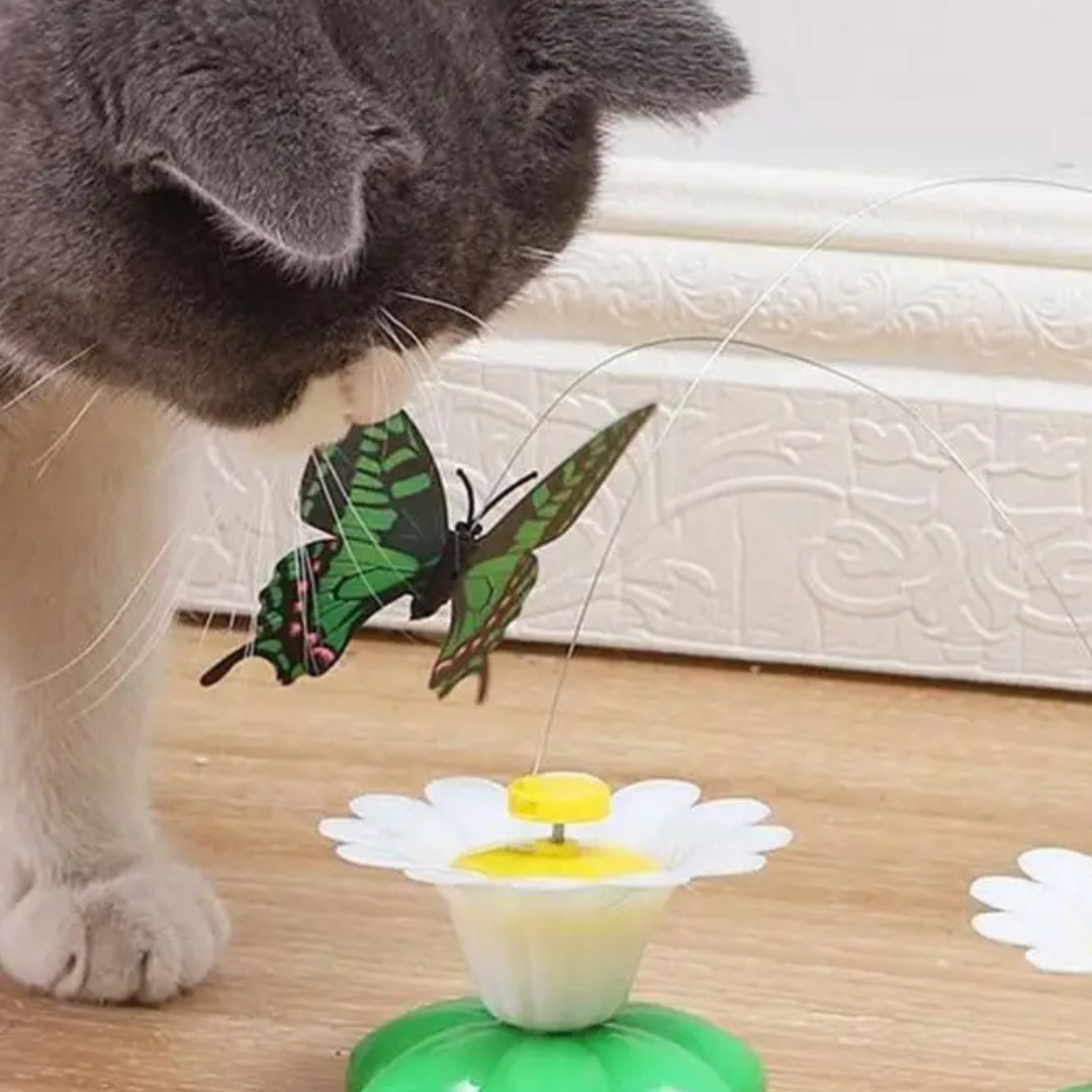 Butterfly Toy For Cats