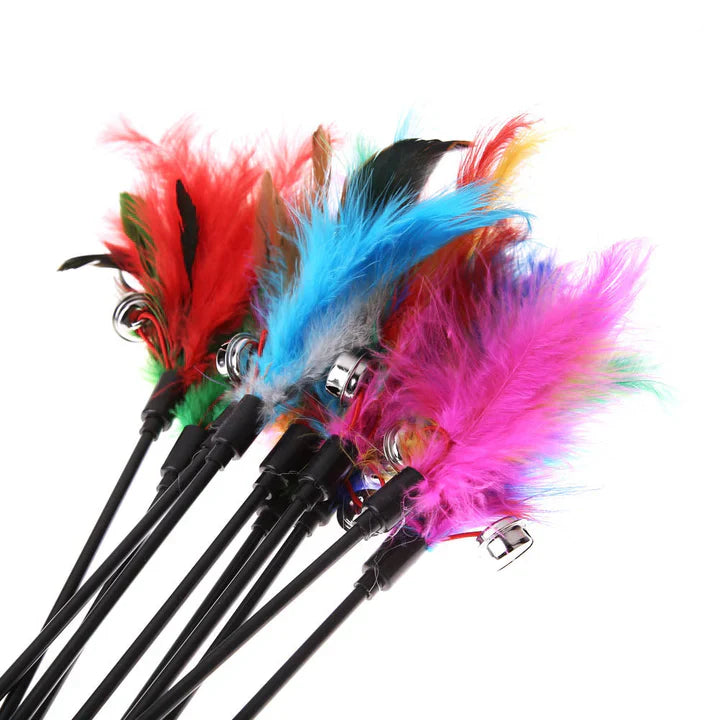 Cat Feather Toys (5-Pack) – PlayFeather