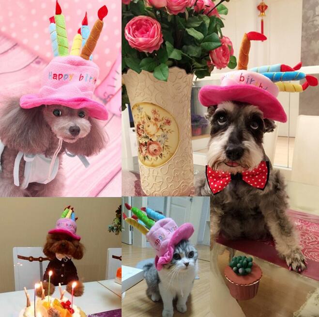 Pet Birthday Hat – PartyPaws