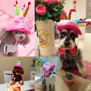 Pet Birthday Hat – PartyPaws
