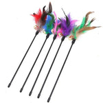 Cat Feather Toys (5-Pack) – PlayFeather