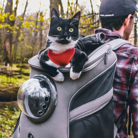 Cat Travel Bag – PurrTrek