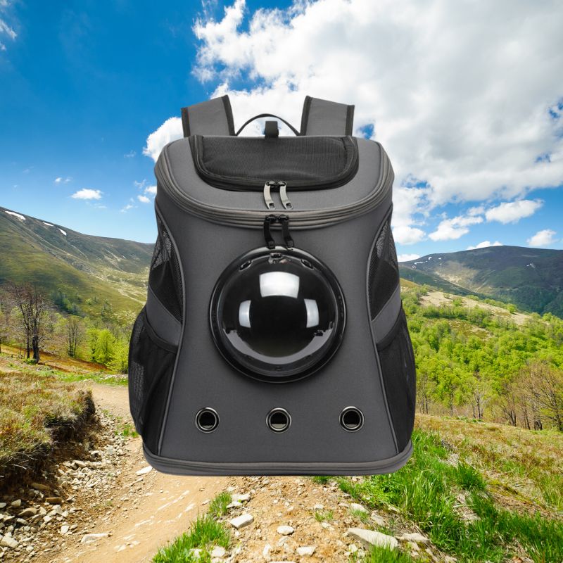 Cat Travel Bag – PurrTrek