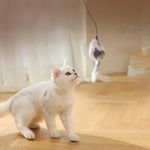 Cat turbo ball with tail toy