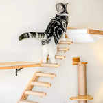 KletterBuddy – The Perfect Wall Shelf for Active Cats